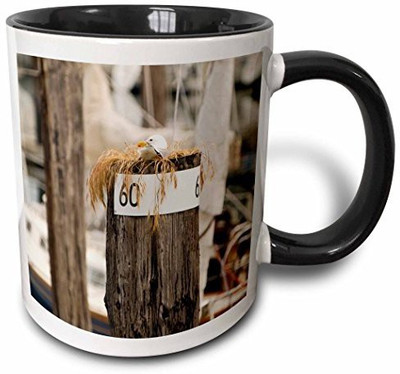 

3dRose Wa, San Juans, Cap Sante Harbor, Fidalgo Island Birds Us48 Tdr0423 Trish Drury Two Tone Black, 11 oz, Black/White Ceramic Mug(60 ml), Multicolor