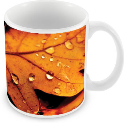 

Sleep Nature's SN-MG-2504 Ceramic Mug(350 ml), Yellow