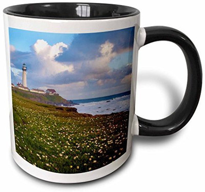 

3dRose mug_189435_4 USA, California Big Sur Panorama with Lighthouse and Coastal Plants Two Tone Black, 11 oz, Black/White Ceramic Mug(60 ml), Multicolor