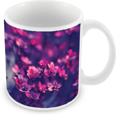

Sleep Nature's SN-MG-2041 Ceramic Mug(350 ml), Pink