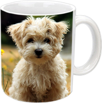 

Raj Laxmi Cute puppy white Ceramic Mug(350 ml)