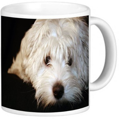 

Rikki Knight LLC Knight Ceramic Coffee, Maltese Puppy Ceramic Mug(60 ml), Multicolor