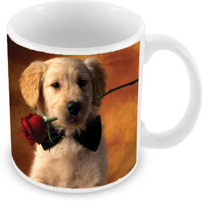 Sleep Nature's SN-MG-1671 Ceramic Mug(350 ml), Multicolor