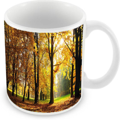 

Sleep Nature's SN-MG-524 Ceramic Mug(350 ml), Yellow