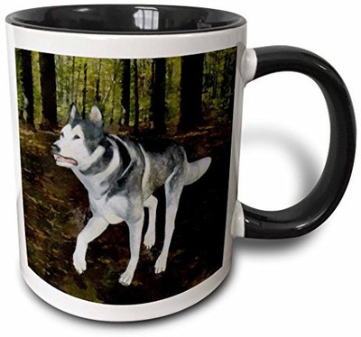 

3dRose Wolf in The forest Two Tone Black, 11 oz, Black/White Ceramic Mug(60 ml), Multicolor