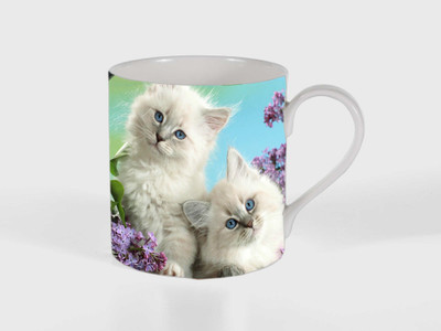 

Route To Root rtrm_ mug124 Ceramic Mug(250 ml), Multicolor