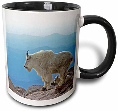

3dRose Colorado, Mt Evans. Mountain Goats, Rocky Mtns Us06 Bja0030 Jaynes Gallery Two Tone Black, 11 oz, Black/White Ceramic Mug(60 ml), Multicolor
