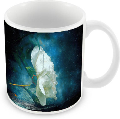

Sleep Nature's SN-MG-673 Ceramic Mug(350 ml), Multicolor