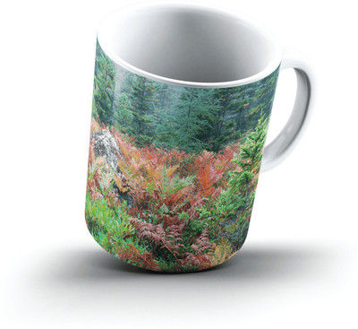 

Ucard Landscape1332866 Bone China, Ceramic, Porcelain Mug(325 ml)