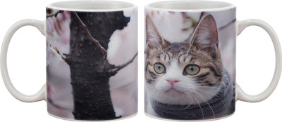 

Artifa Cute Cat Porcelain, Ceramic Mug(350 ml), Multicolor