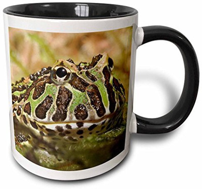 

3dRose mug_83641_4 Pacman Frog, South American Horned Frog NA02 AJE0359 Adam Jones Two Tone Black, 11 oz, Black/White Ceramic Mug(60 ml), Multicolor