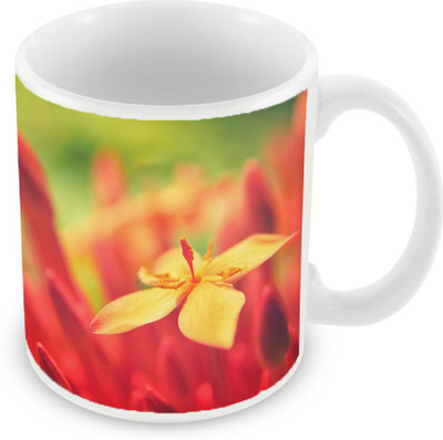 

Sleep Nature's SN-MG-2237 Ceramic Mug(350 ml), Multicolor