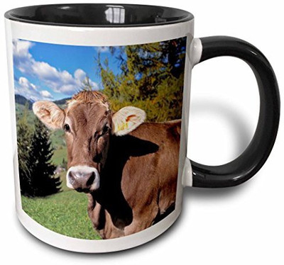 

3dRose mug_82188_4 Italy, Dolomite Alps, Swiss Brown Cow EU16 RER0140 Ric Ergenbright Two Tone Black, 11 oz, Black/White Ceramic Mug(60 ml)