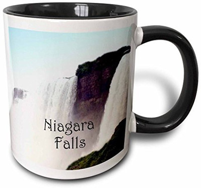 

3dRose mug_9261_4 Niagara Falls B Two Tone Black, 11 oz, Black/White Ceramic Mug(60 ml), Multicolor