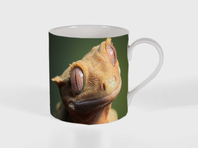 

Route To Root rtrm_ mug134 Ceramic Mug(250 ml), Multicolor