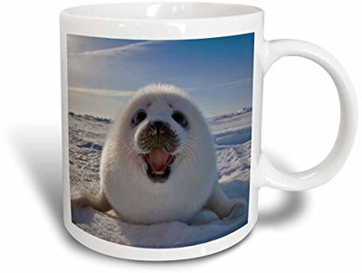 

3dRose mug_135375_1 Harp Seal Pup, Iles De La Madeleine, Quebec, Canada CN10 KSU0014 Keren Su Ceramic, 11 oz, White Ceramic Mug(60 ml), Multicolor