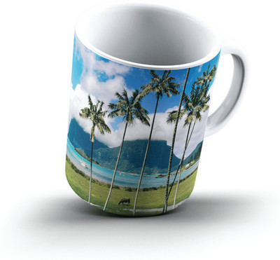 

Ucard Lord Howe Island Australia2448 Bone China, Ceramic, Porcelain Mug(325 ml)