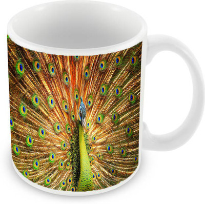 Sleep Nature's SN-MG-973 Ceramic Mug(350 ml), Multicolor