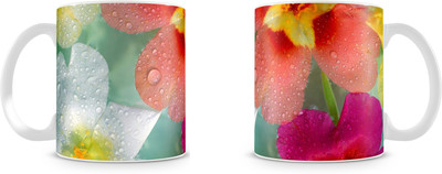 

Mott2 Hswm002 (31)s Ceramic Mug(350 ml)