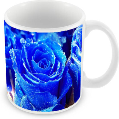 

Sleep Nature's SN-MG-969 Ceramic Mug(350 ml), Blue