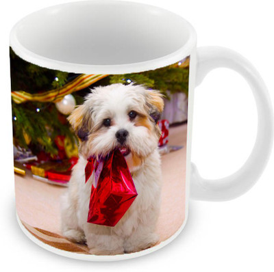 

Sleep Nature's SN-MG-1320 Ceramic Mug(350 ml), Multicolor