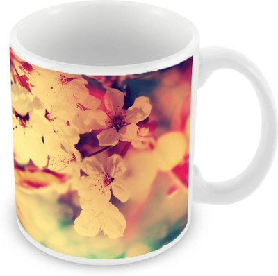 

Sleep Nature's SN-MG-2033 Ceramic Mug(350 ml), Multicolor