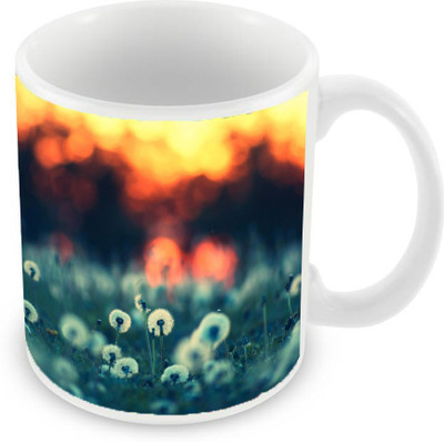 

Sleep Nature's SN-MG-1479 Ceramic Mug(350 ml), Multicolor