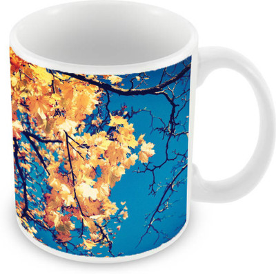 

Sleep Nature's SN-MG-2426 Ceramic Mug(350 ml), Multicolor