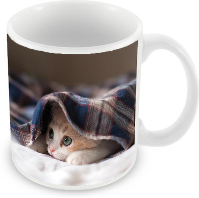 

Sleep Nature's SN-MG-2244 Ceramic Mug(350 ml), Multicolor