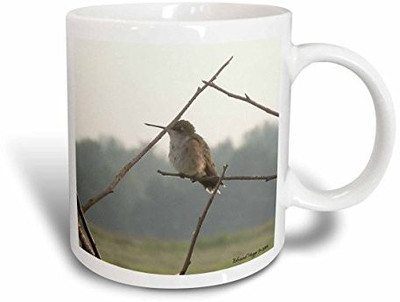 

3dRose mug_21815_2 Female Hummingbird Ceramic, 15 oz, White Ceramic Mug(60 ml), Multicolor