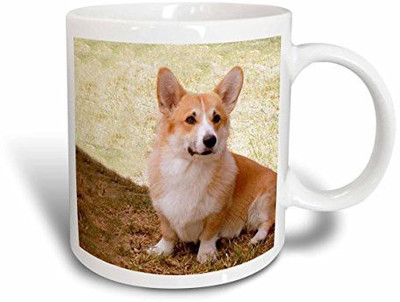 

3dRose Pembroke Welsh Corgi, 11-Ounce Ceramic Mug(60 ml), Multicolor