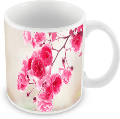 

Sleep Nature's SN-MG-993 Ceramic Mug(350 ml), Multicolor