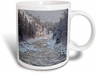 

3dRose Wa, Leavenworth. Winter, Trees, Wenatchee River Us48 Bja0284 Jaynes Gallery Ceramic, 15 oz, White Ceramic Mug(60 ml), Multicolor