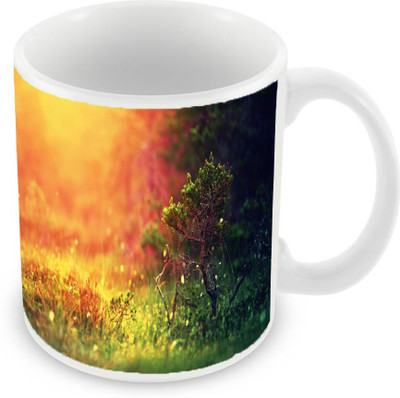 

Sleep Nature's SN-MG-737 Ceramic Mug(350 ml), Multicolor