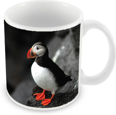 Sleep Nature's SN-MG-2226 Ceramic Mug(350 ml), Multicolor