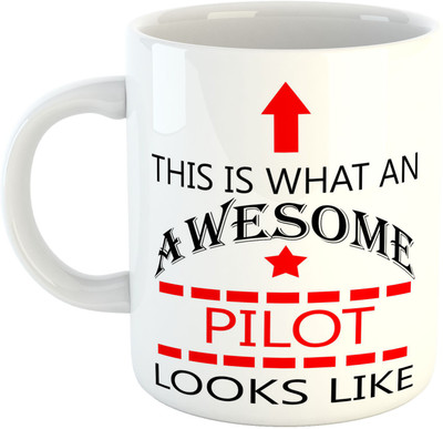 Deeher Gifts Awesome Pilot Ceramic Mug(330 ml), Multicolor