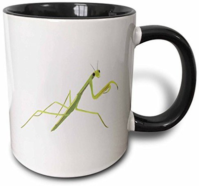 

3dRose mug_165772_4 Painting of a Green Praying Mantis Two Tone Black, 11 oz, Black/White Ceramic Mug(60 ml)