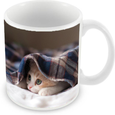 

Sleep Nature's SN-MG-1221 Ceramic Mug(350 ml), Multicolor