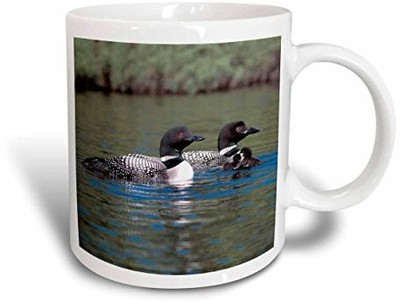 

3dRose Family of Three Loons, 15-Ounce Ceramic Mug(60 ml), Multicolor