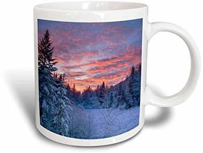 

3dRose Winter, Meadow, Flathead National forest of Montana Us27 Cha1938 Chuck Haney Ceramic, 15 oz, White Ceramic Mug(60 ml), Multicolor