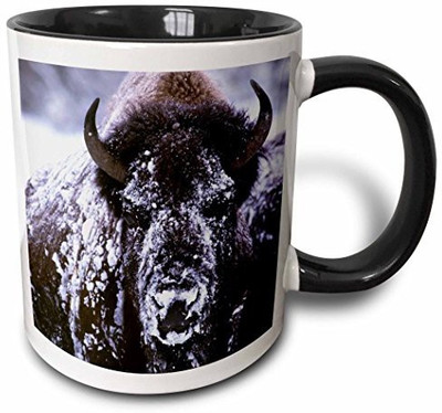 

3dRose Yellowstone Np, Bison in Winter Us51 Csl0007 Charles Sleicher Two Tone Black, 11 oz, Black/White Ceramic Mug(60 ml), Multicolor
