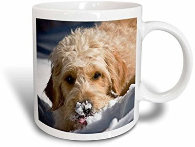 3dRose A Goldendoodle Dog Us32 Zmu0068 Zandria Muench Beraldo Ceramic, 11 oz, White Ceramic Mug(60 ml), Multicolor