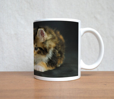 60% OFF on StyBuzz Cute Little Kitty With Flower Ceramic Coffee Mug(300 ml)