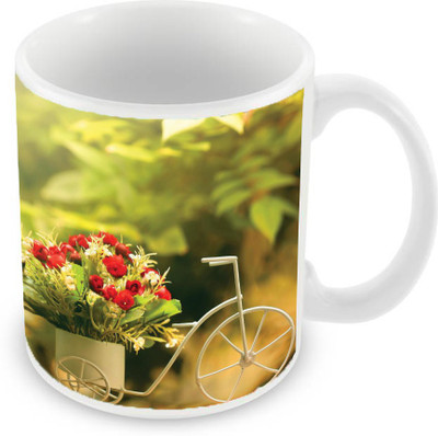 

Sleep Nature's SN-MG-2414 Ceramic Mug(350 ml), Multicolor