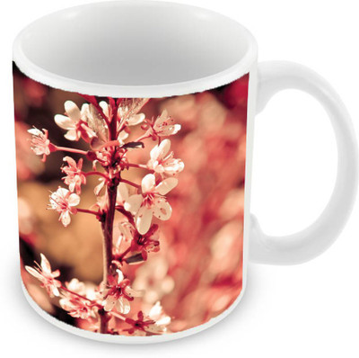 

Sleep Nature's SN-MG-2040 Ceramic Mug(350 ml), Pink