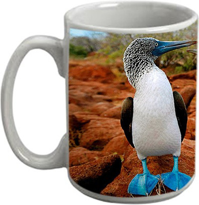 

Instyler MG36 Ceramic Mug(350 ml), Multicolor