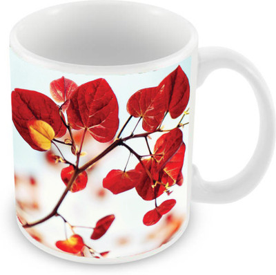 

Sleep Nature's SN-MG-2496 Ceramic Mug(350 ml), Multicolor