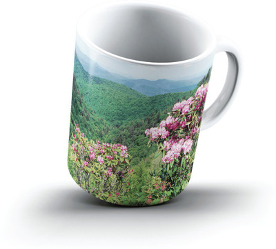 Ucard Landscape382771 Bone China, Ceramic, Porcelain Mug(325 ml)