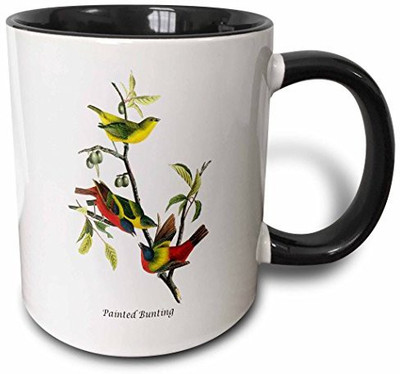 

3dRose Painted Bunting By John James Audubon Two Tone Black, 11 oz, Black/White Ceramic Mug(60 ml), Multicolor