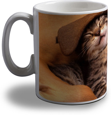 

Artifa Cat And Dog Porcelain, Ceramic Mug(350 ml), Multicolor